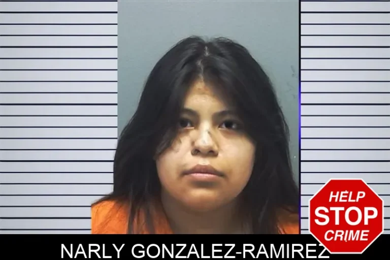Narly Gonzalez-Ramirez