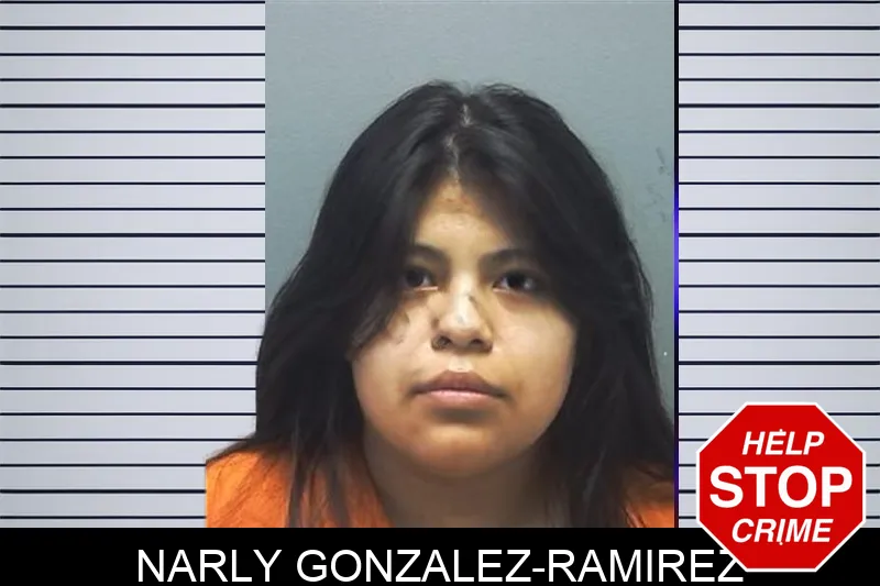 Narly Gonzalez-Ramirez mugshot