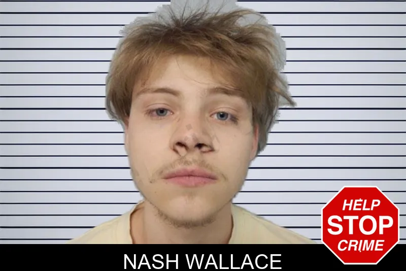 Nash Wallace mugshot – Hall County , Georgia Nash Wallace mugshot