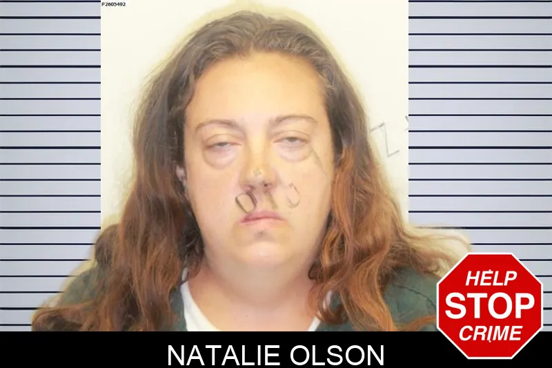Natalie Olson mugshot – Chatham County , Georgia Natalie Olson mugshot