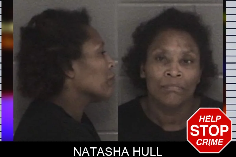 Natasha Hull mugshot