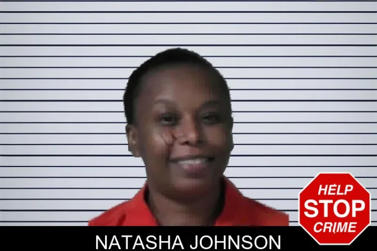 Natasha Johnson mugshot – Greene County , Georgia Natasha Johnson