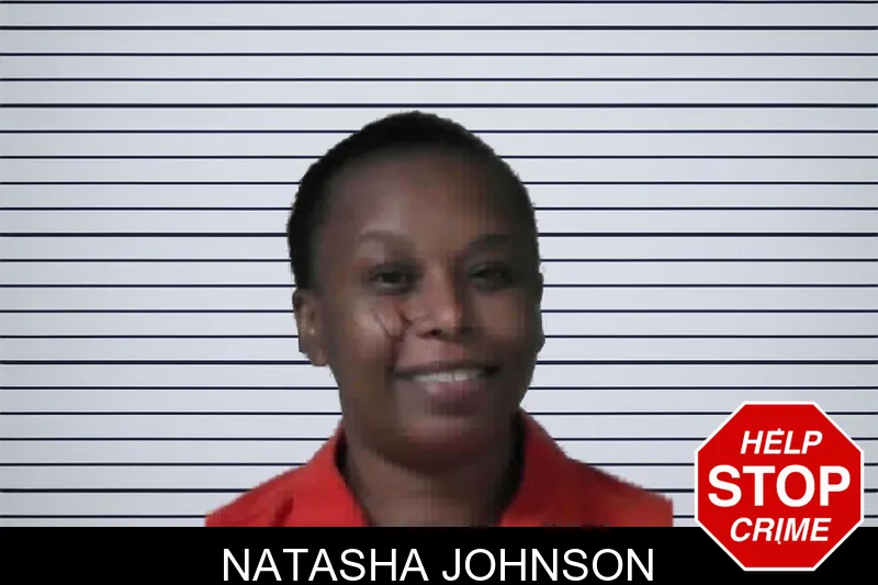 Natasha Johnson mugshot