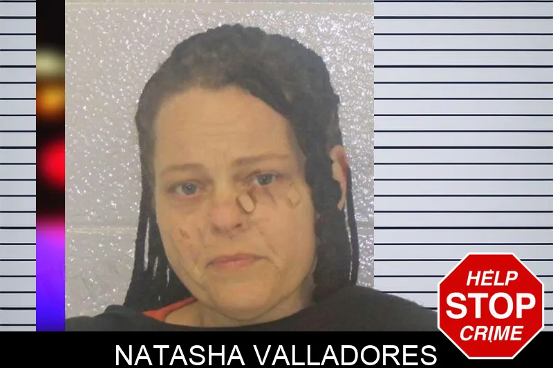 Natasha Valladores mugshot