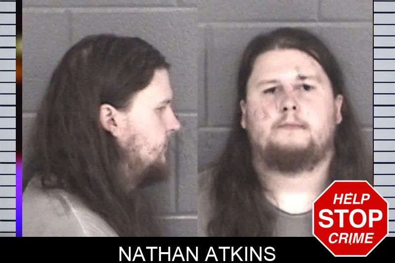Nathan Atkins mugshot