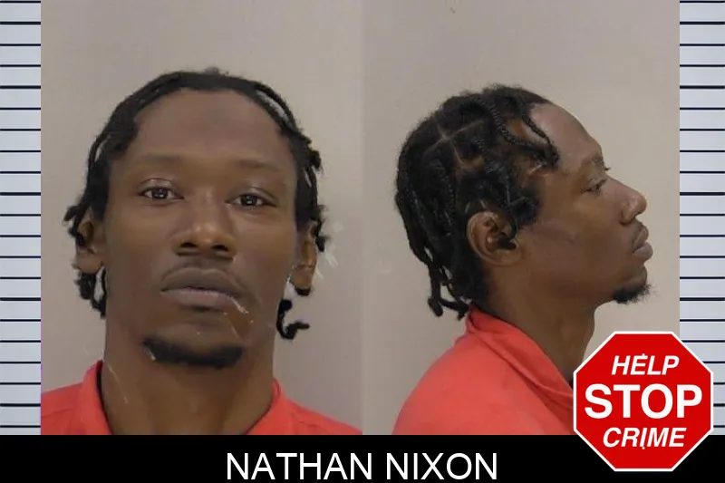 Nathan Nixon mugshot