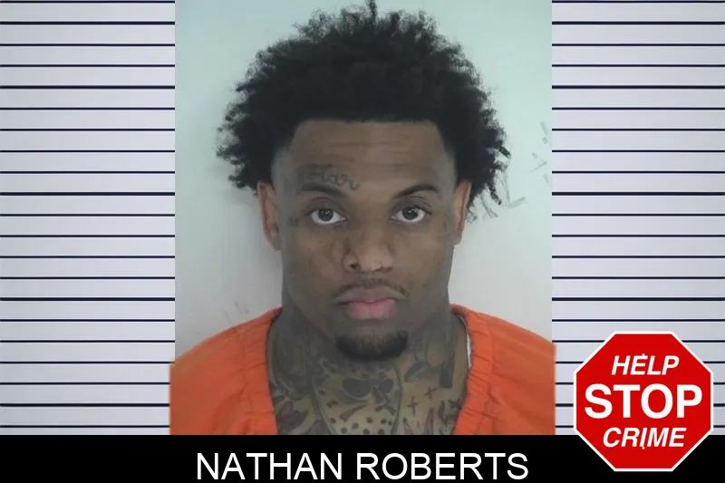 Nathan Roberts mugshot – Fayette County , Georgia Nathan Roberts mugshot