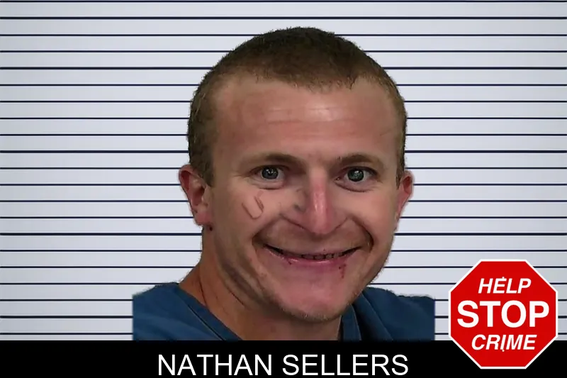 Nathan Sellers mugshot – Jeff Davis County , Georgia Nathan Sellers mugshot