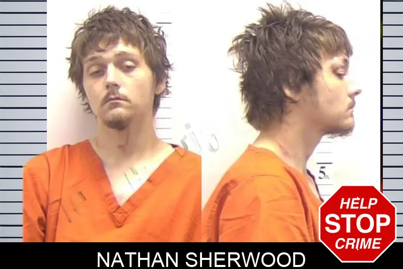 Nathan Sherwood mugshot