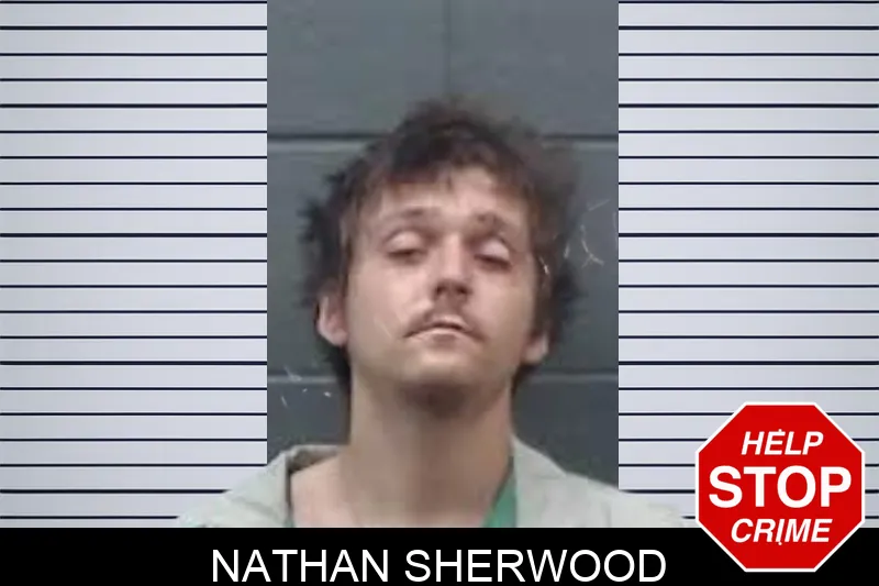 Nathan Sherwood mugshot