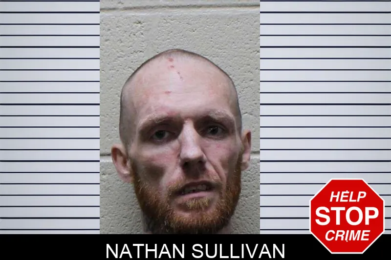 Nathan Sullivan mugshot