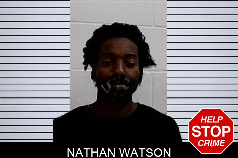 Nathan Watson mugshot