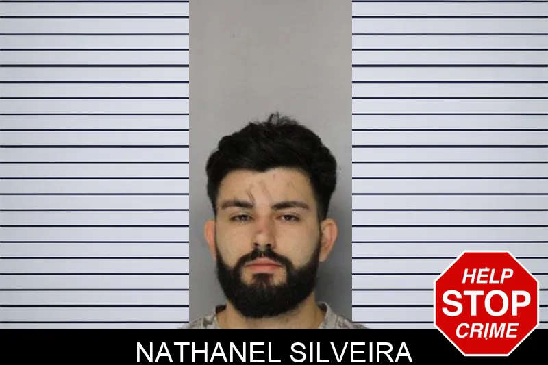 Nathanel Silveira mugshot