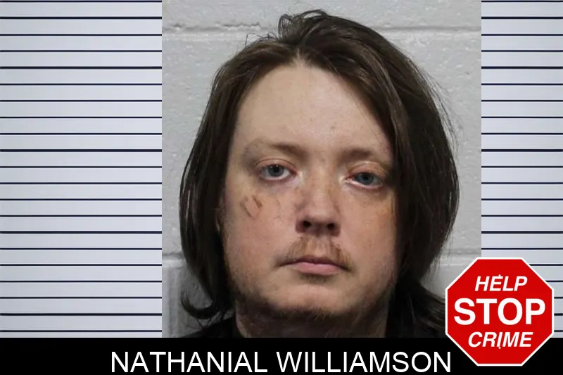 Nathanial Williamson mugshot