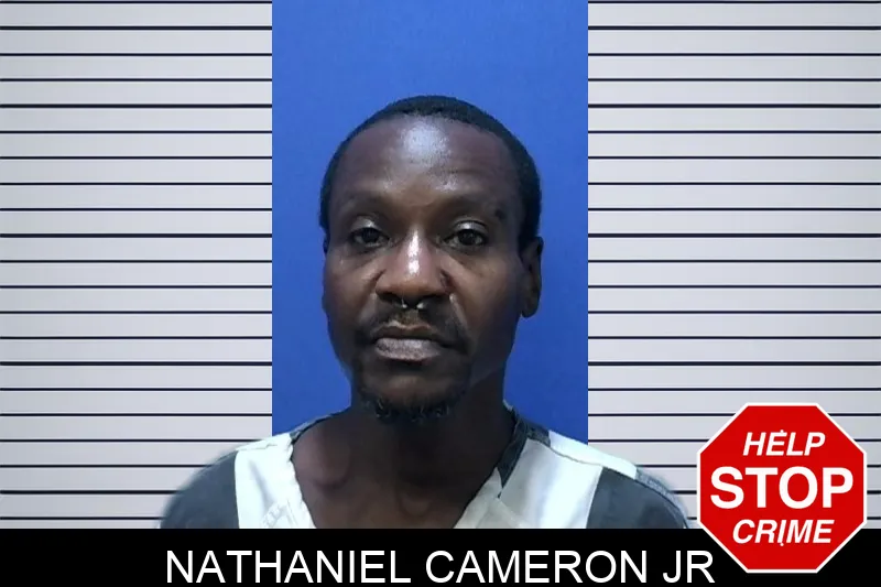 Nathaniel Cameron Jr mugshot