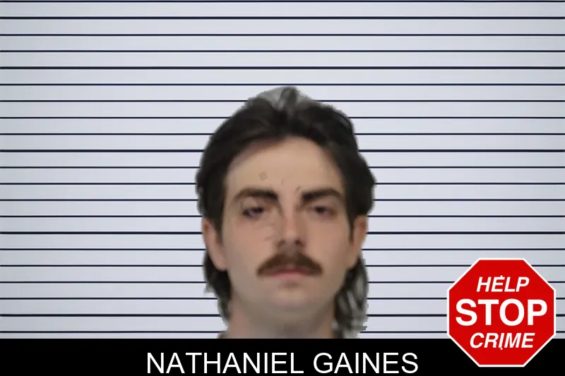 Nathaniel Gaines mugshot – Bibb County , Georgia Nathaniel Gaines mugshot