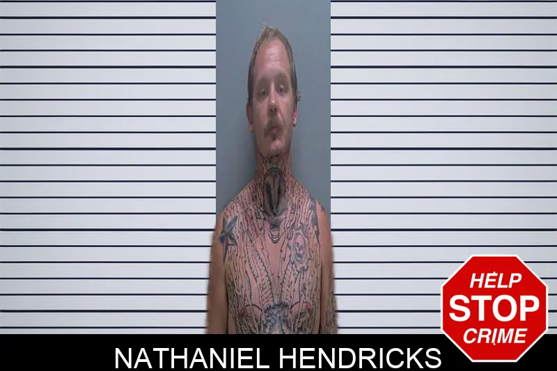 Nathaniel Hendricks mugshot