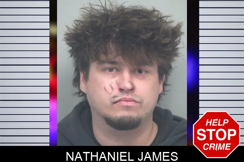 Nathaniel James mugshot