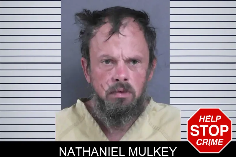 Nathaniel Mulkey mugshot – Gordon County , Georgia Nathaniel Mulkey mugshot
