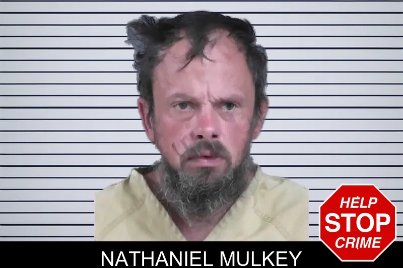 Nathaniel Mulkey mugshot