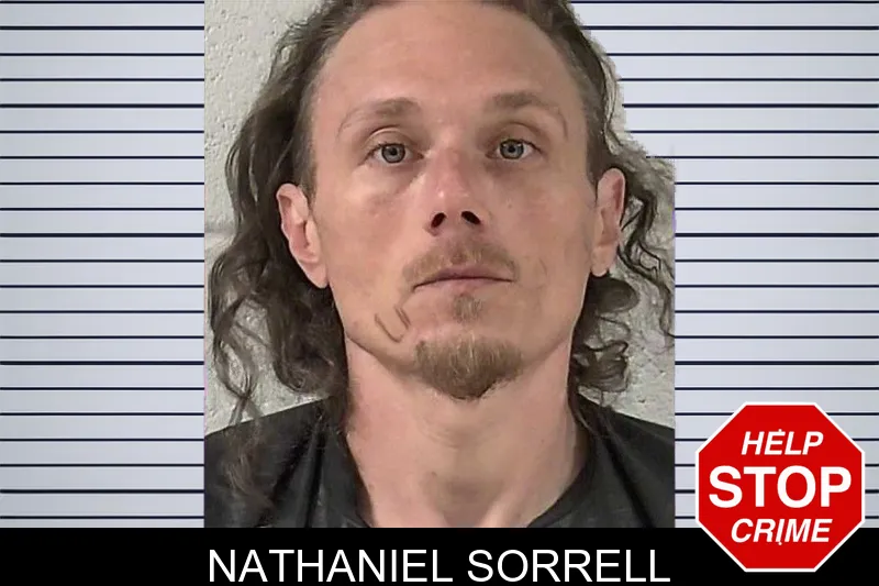 Nathaniel Sorrell mugshot