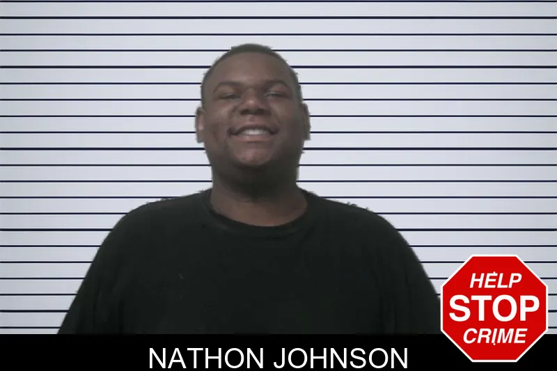 Nathon Johnson mugshot