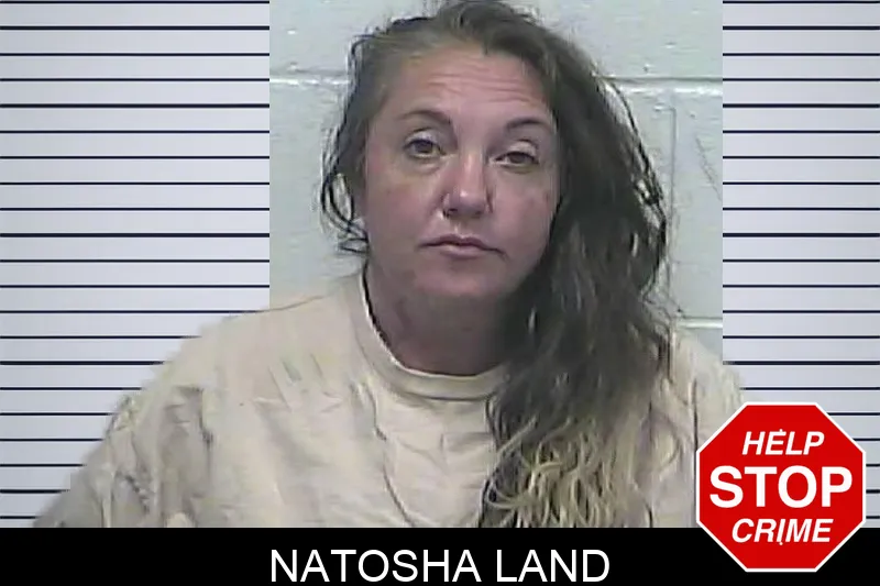 Natosha Land mugshot