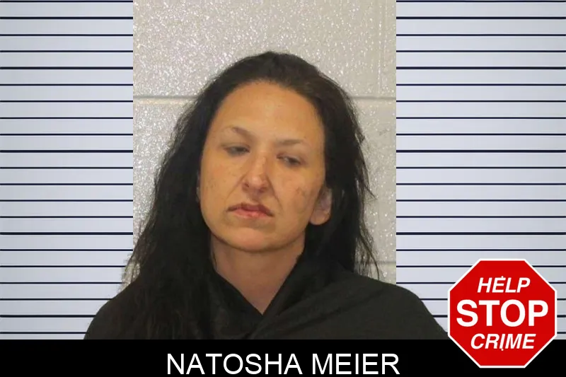 Natosha Meier mugshot