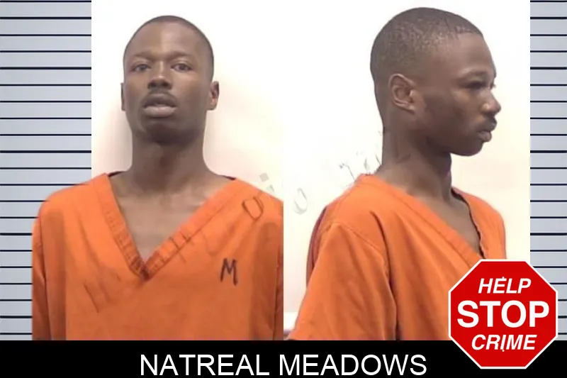 Natreal Meadows mugshot