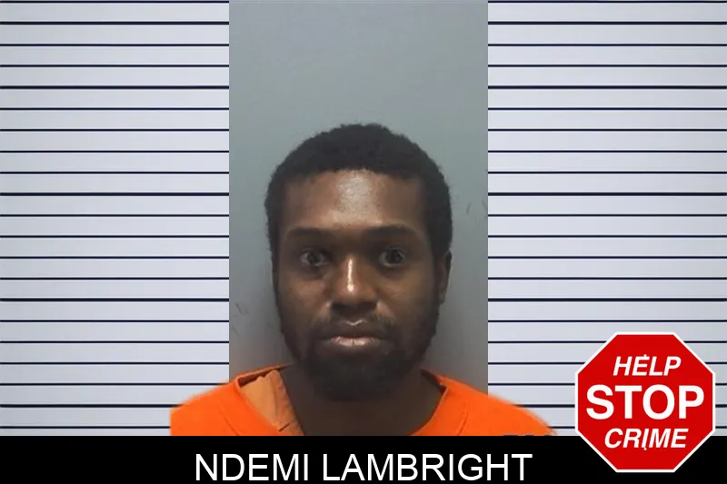 Ndemi Lambright mugshot – Cherokee County , Georgia Ndemi Lambright mugshot