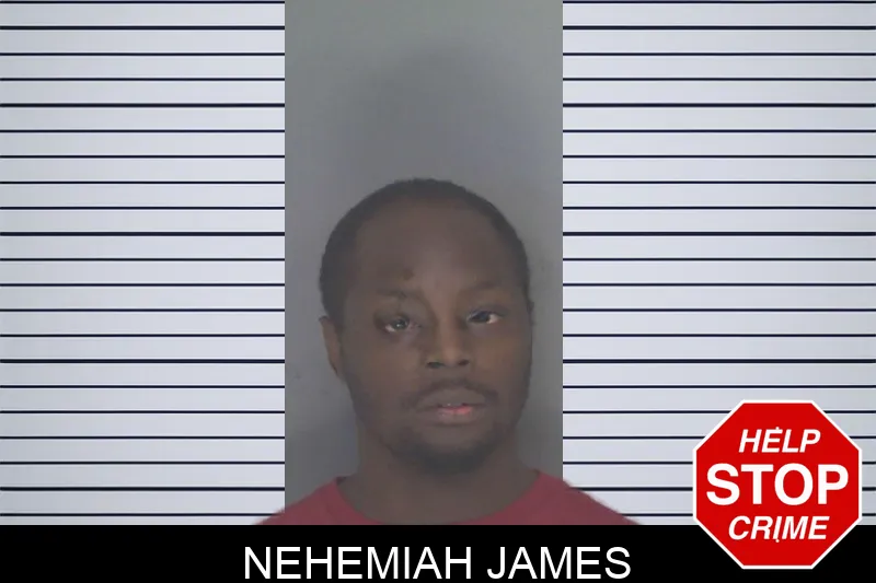 Nehemiah James mugshot – Douglas County , Georgia Nehemiah James mugshot