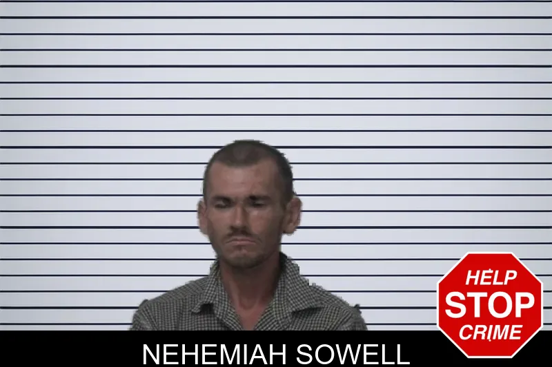 Nehemiah Sowell mugshot