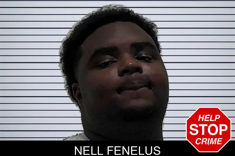 Nell Fenelus mugshot
