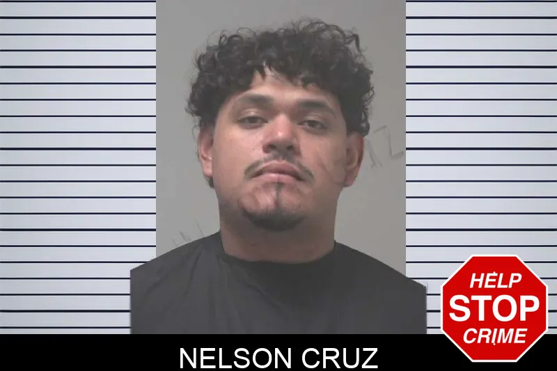 Nelson Cruz mugshot