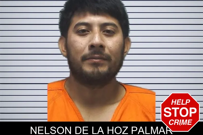 Nelson De La Hoz Palmar mugshot