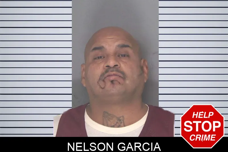 Nelson Garcia mugshot – Douglas County , Georgia Nelson Garcia mugshot