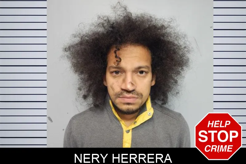 Nery Herrera mugshot – Hall County , Georgia Nery Herrera mugshot