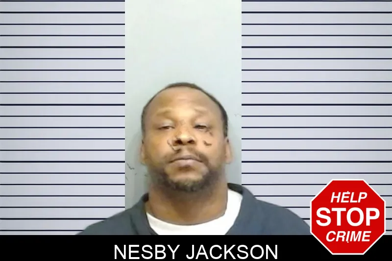 Nesby Jackson mugshot – Fulton County , Georgia Nesby Jackson mugshot