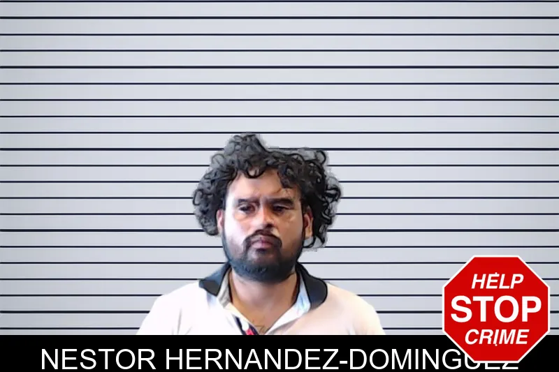 Nestor Hernandez-Dominguez mugshot