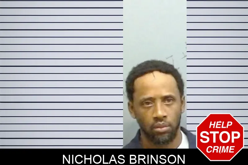 Nicholas Brinson mugshot