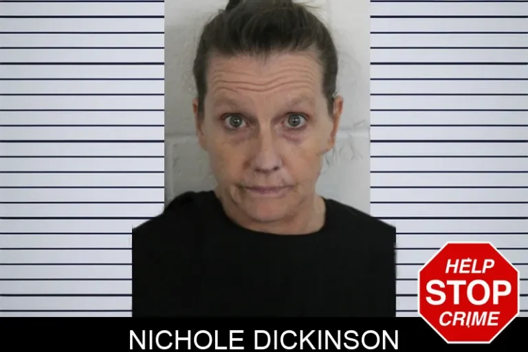 Nichole Dickinson mugshot – Floyd County , Georgia Nichole Dickinson