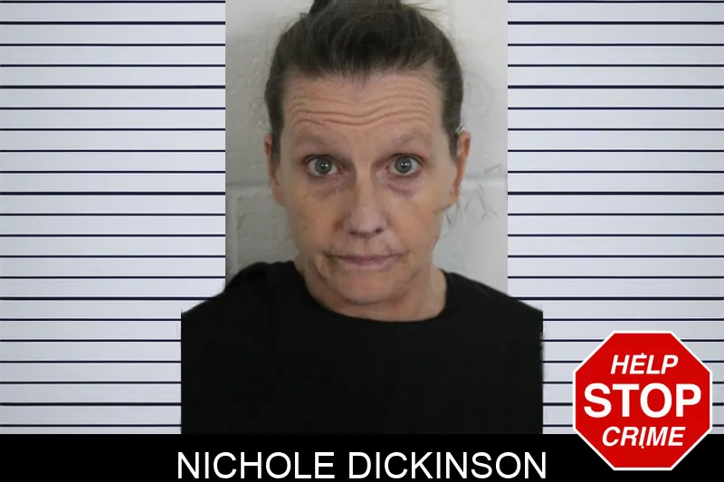 Nichole Dickinson mugshot – Floyd County , Georgia Nichole Dickinson mugshot