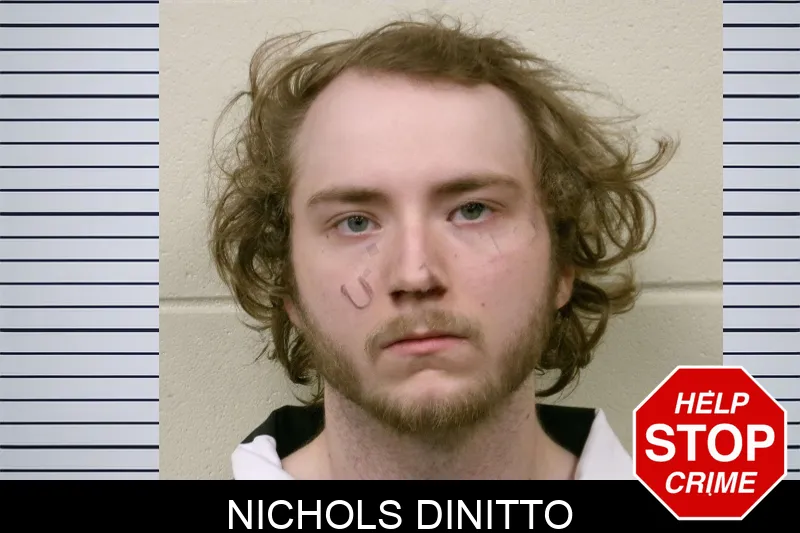 Nichols Dinitto mugshot – Bulloch County , Georgia Nichols Dinitto mugshot