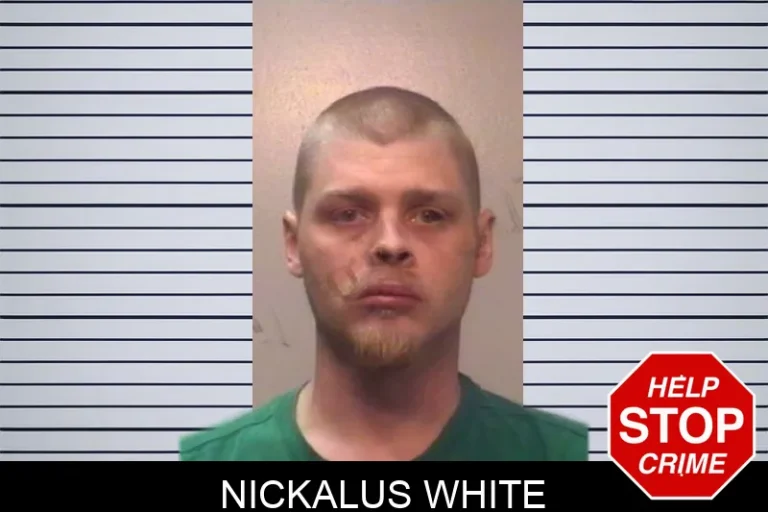 Nickalus White mugshot – Cherokee County , Georgia Nickalus White