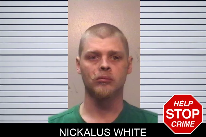 Nickalus White mugshot