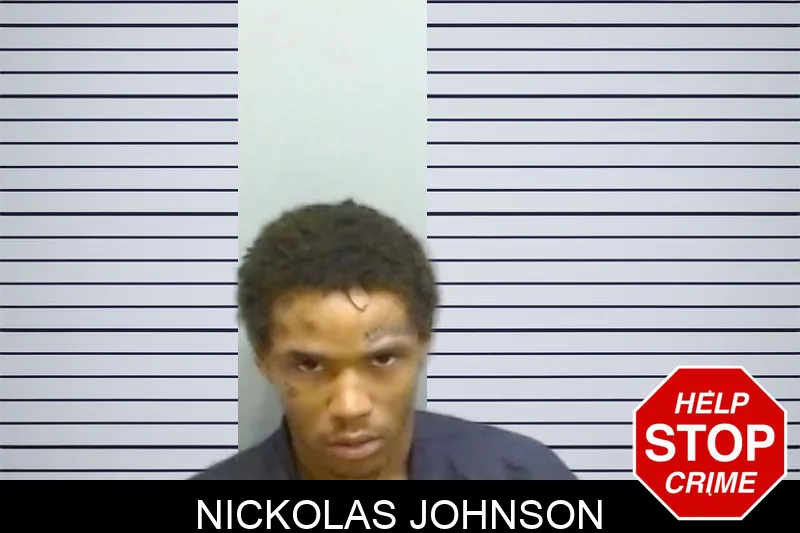 Nickolas Johnson mugshot