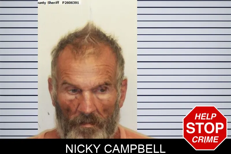 Nicky Campbell mugshot