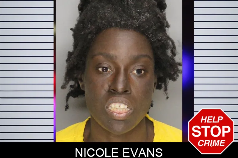 Nicole Evans mugshot