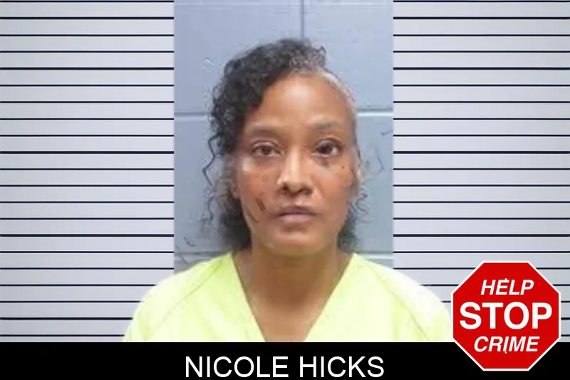 Nicole Hicks mugshot