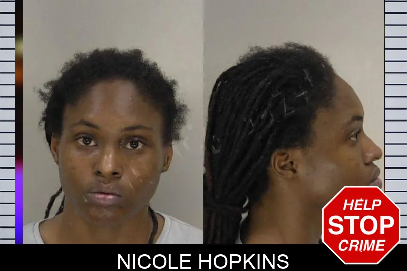 Nicole Hopkins mugshot